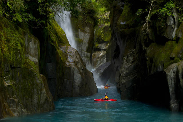 第一个用无人机拍到的鲸鱼,鲸鱼萤火虫