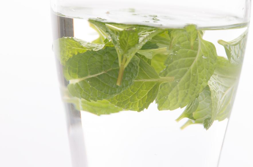 薄荷有清热解毒疏散风热,薄荷有清热凉血功效吗