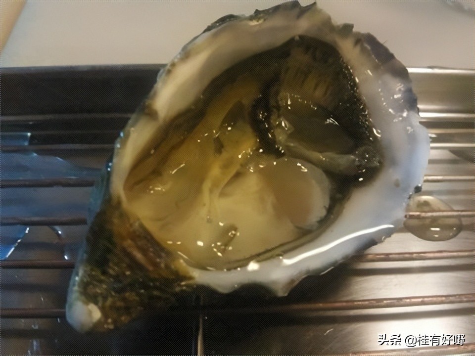 澳洲生蚝哪里的最好吃,澳大利亚的海鲜生蚝