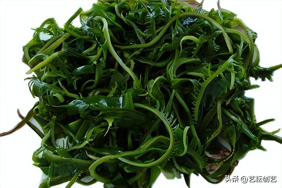 全国地理标志农产品目录系列之——辽宁省（二）