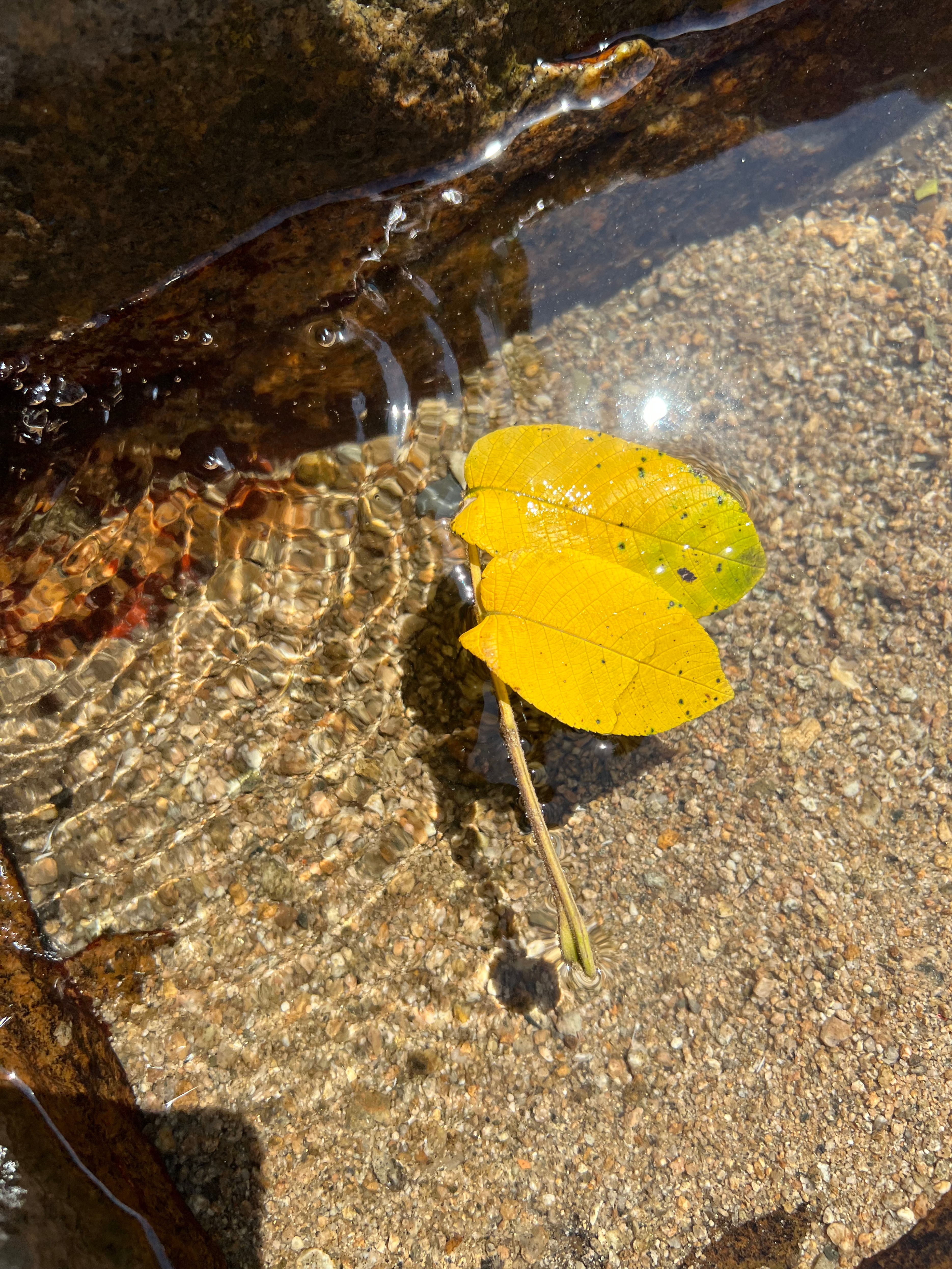 天津春天亲子徒步旅游路线推荐,天津户外徒步一日游推荐