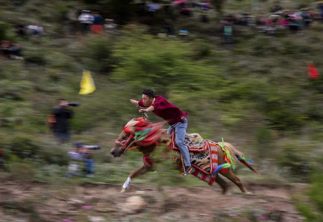 悬念揭晓在即,悬念揭晓视频