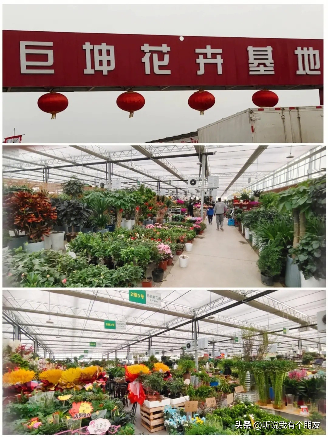 西安最好玩最大的花市,西安最美花市