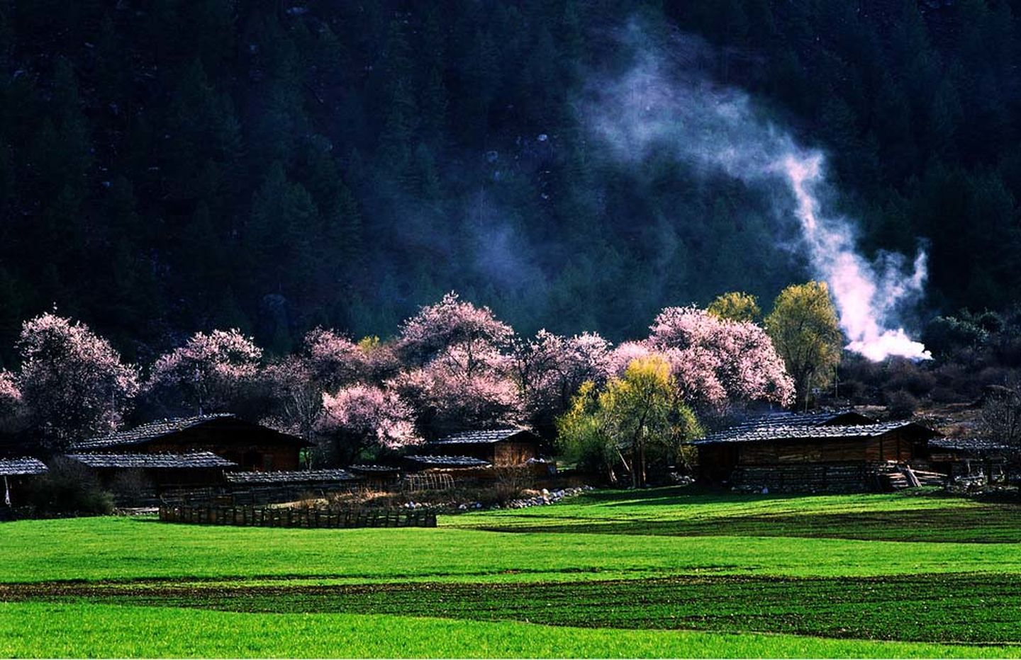 不得不去的中国最美乡村,中国最美十大乡村美景图