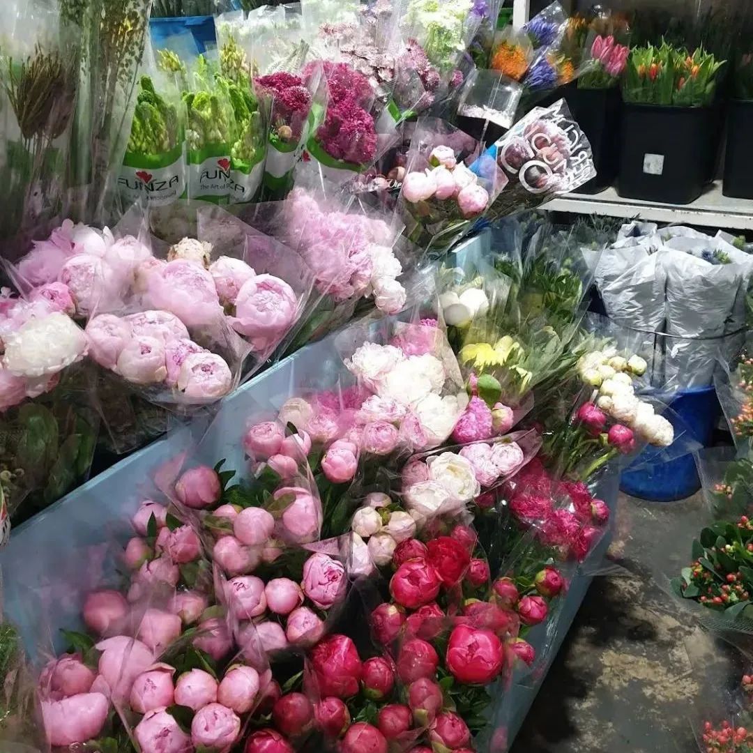 新手必看鲜花养护攻略,鲜花在水里能养几天会死