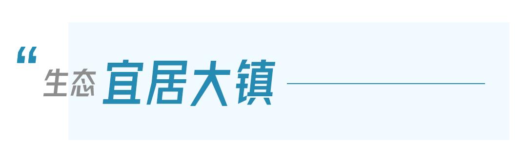 鄂州市泽林镇最新消息,鄂城区泽林镇泽林街