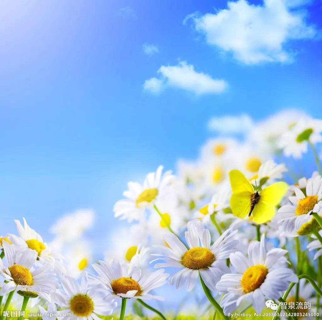 郭进栓汝州,郭进栓