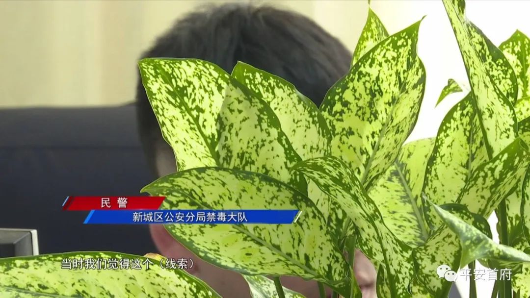 “家族式”制贩*证假**假章伪造的国家机关及企业事业单位印章三百余枚一家人全被抓