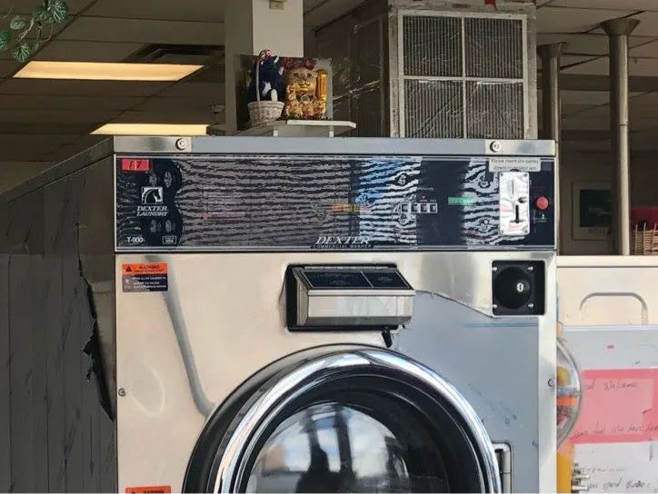 85后Winne在新西兰：丰臀失败，改行做烘焙，与70岁夫妇成同学