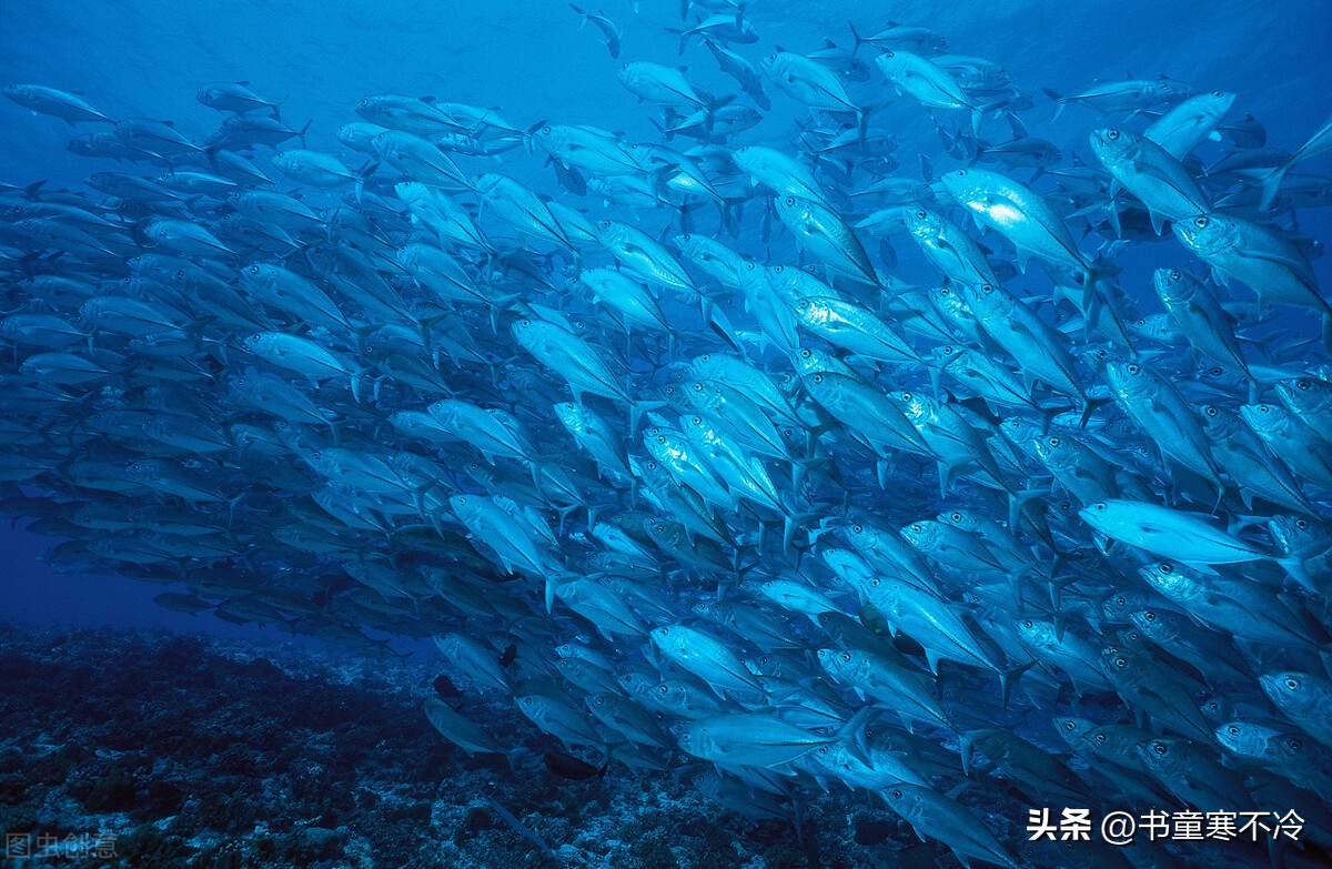 认识泊松分布—为什么保险公司的客户群都很大？