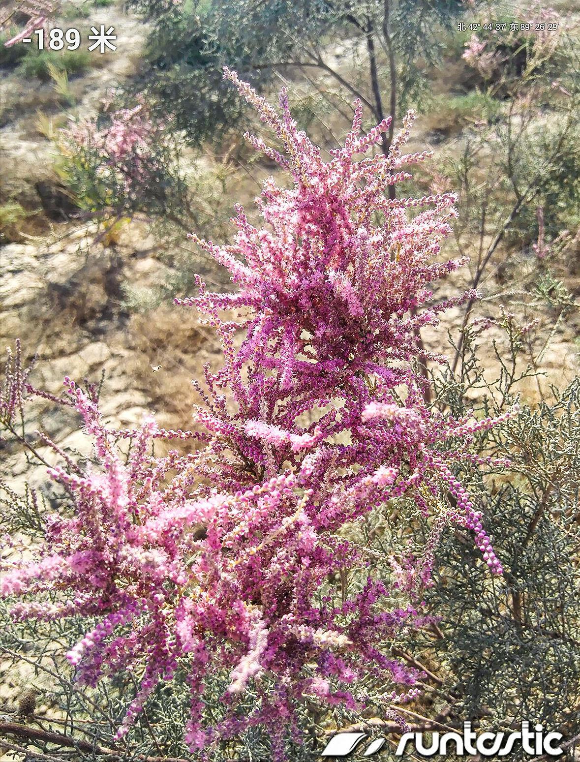 女司机带娃去新疆自驾游,带着女司机自驾游兰州