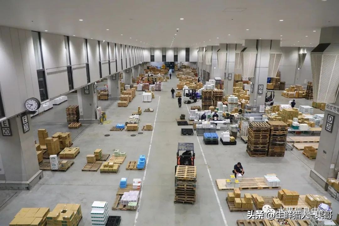 世界第一果蔬批发市场,中国十大果蔬批发市场