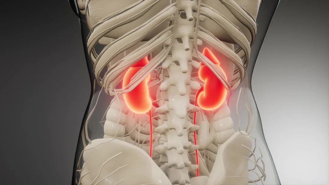 高尿酸是吃出来的少吃六种食物,高尿酸最怕六种食物