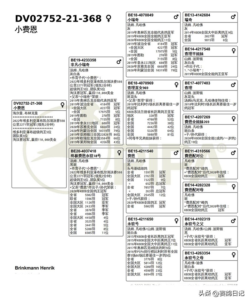 各大公棚冠军鸽,维多利亚公棚