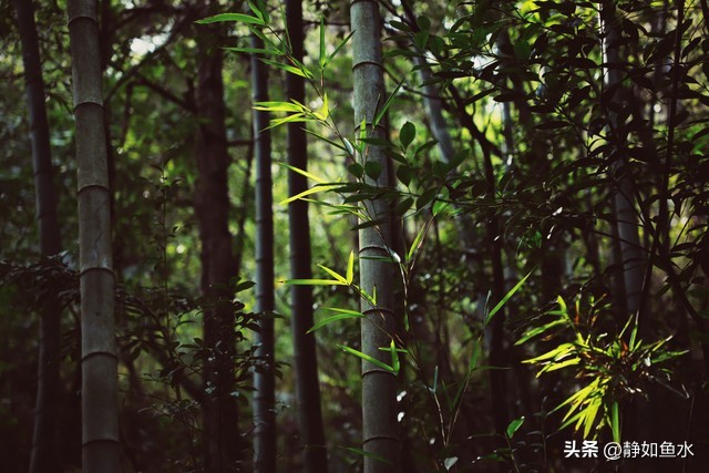 苏州穹窿山灵异事件,苏州穹窿山爱心线攻略