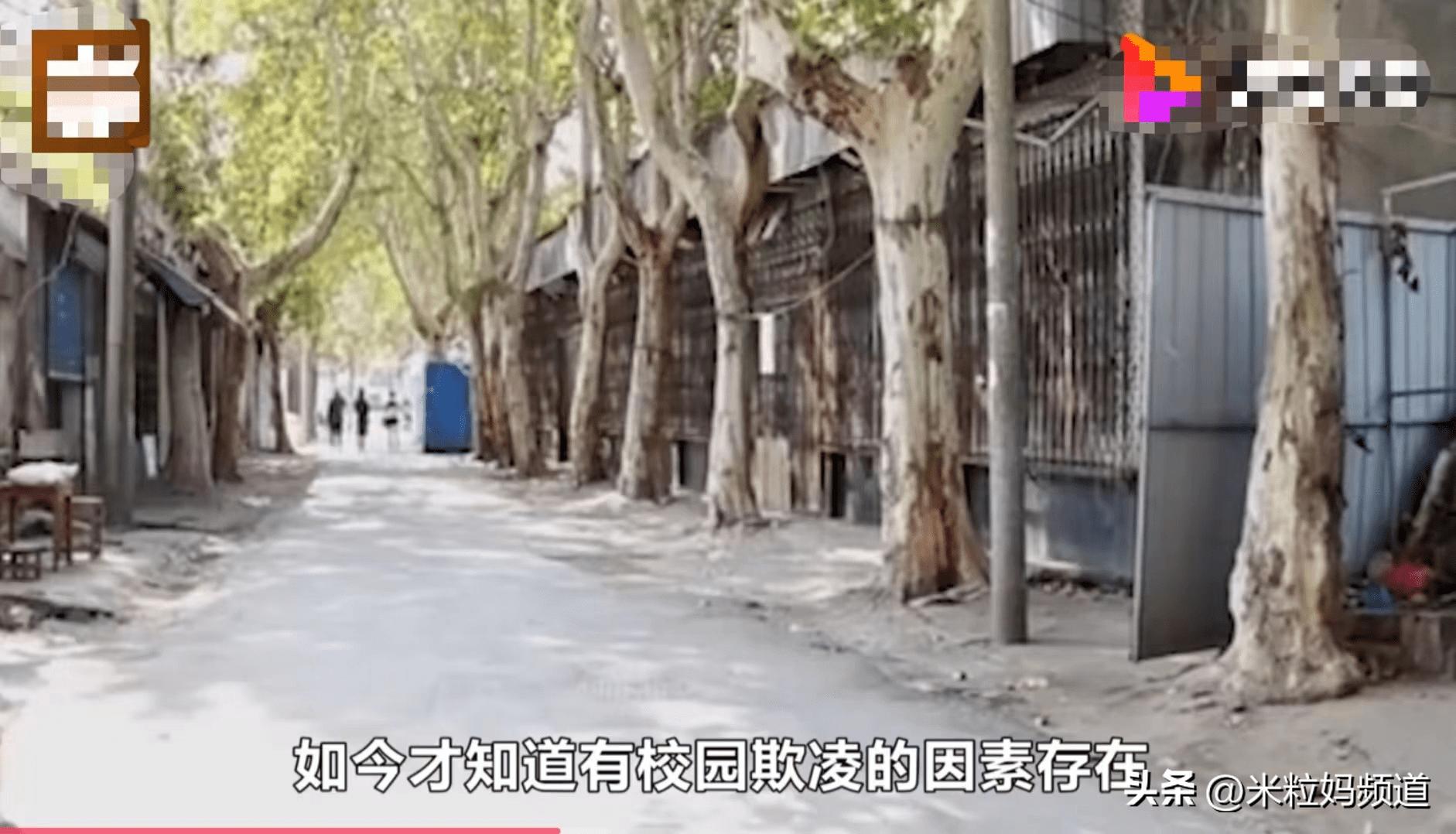 孩子打架家长动手发生命案,儿童校门口被砍后续