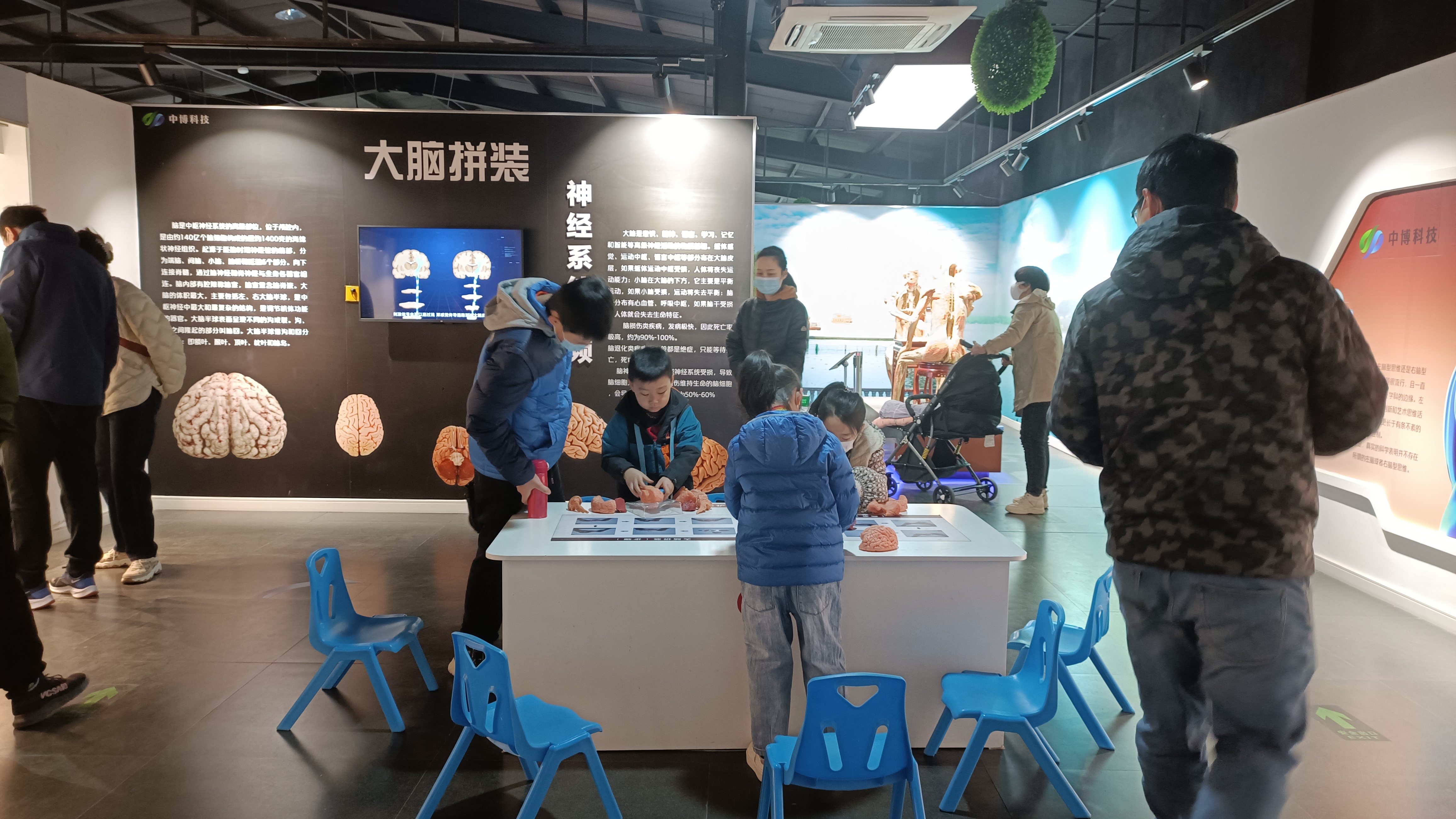 不负*光春**，来郑州人体科学院探寻生命进化证据