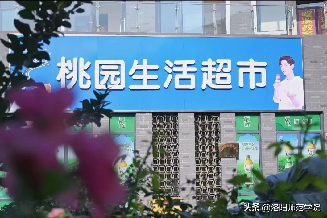 洛师防骗宝典，助你擦亮双眼