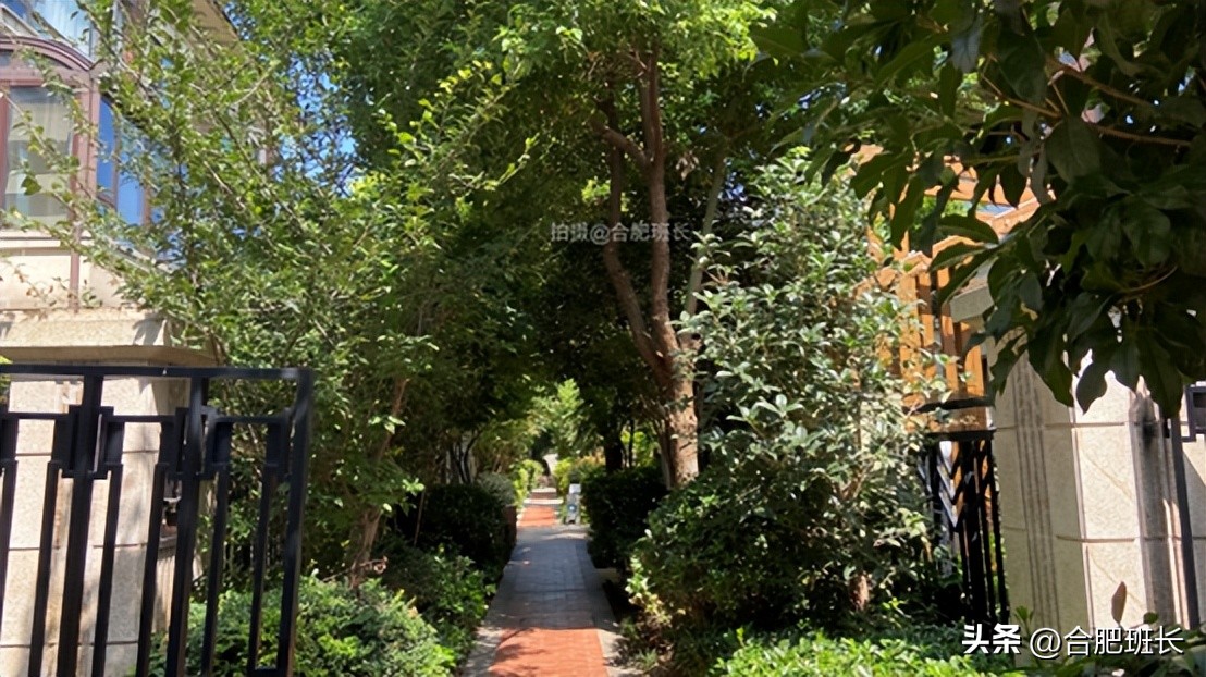 合肥保利西山林语洋房二手房,保利西山林语别墅值得买吗