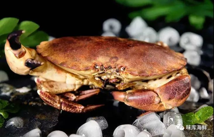 鲜海鲜吃不了放冰箱保鲜可以吗,做熟了的海鲜放冰箱里两天能吃吗