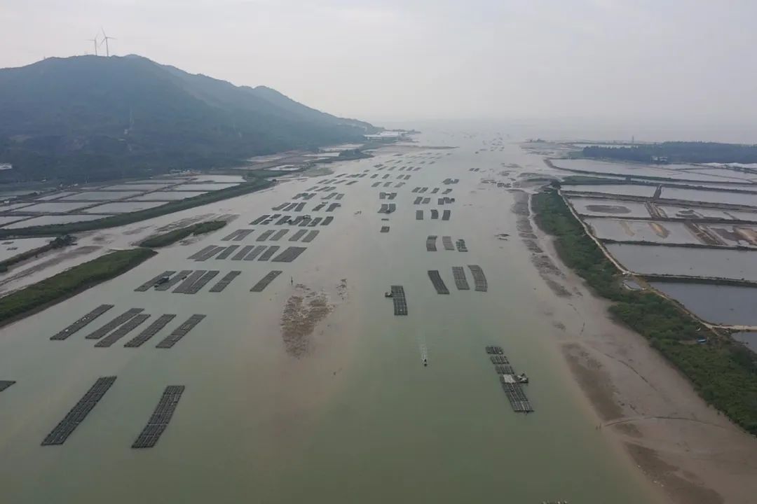 湿地保护公益诉讼典型案例,最高检河道治理公益诉讼典型案例