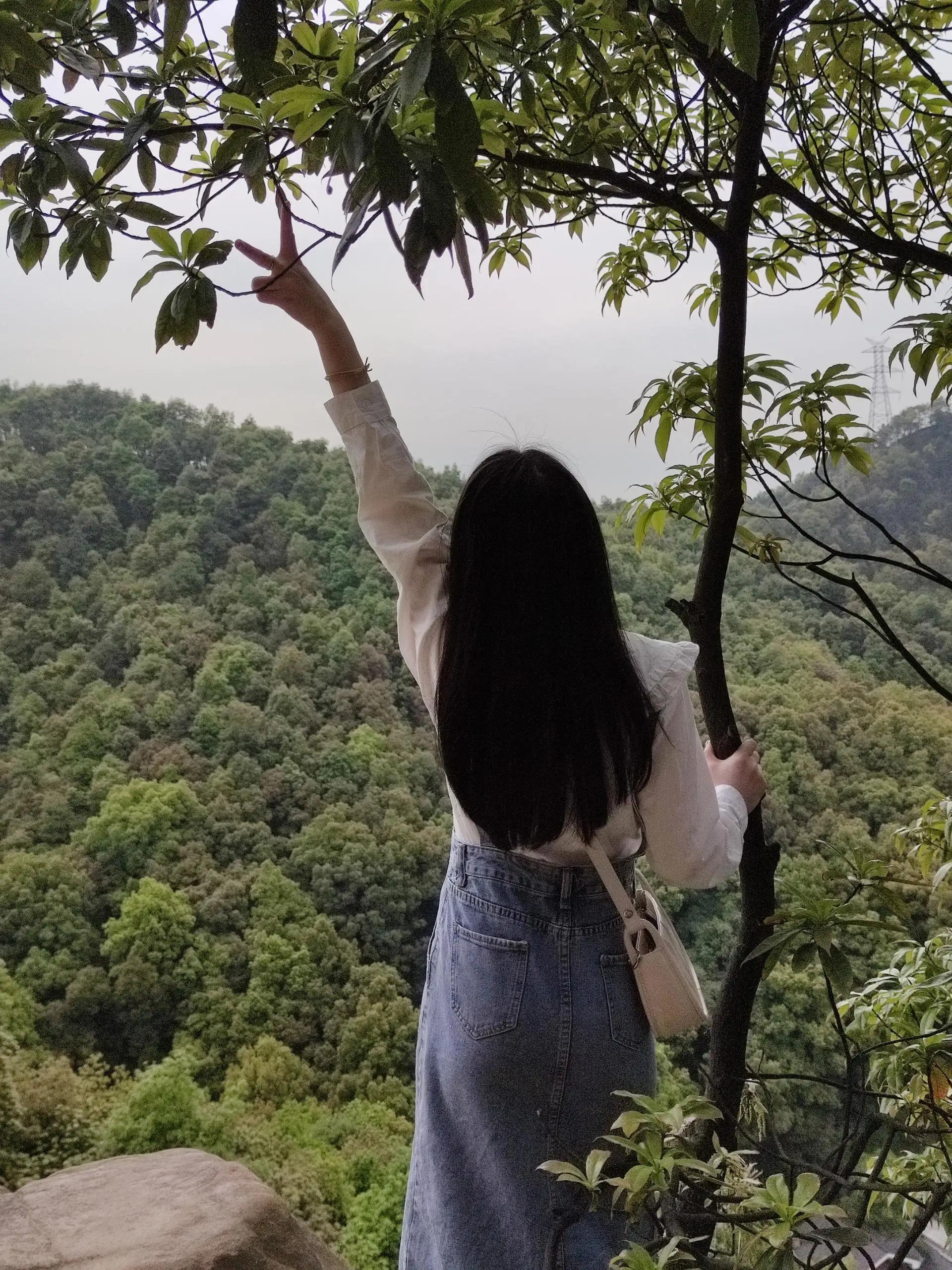 努力终将换来回报——法考成功上岸