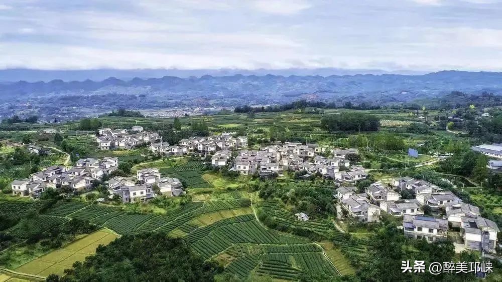 邛崃市创建先进县,西部百强县邛崃排名24位