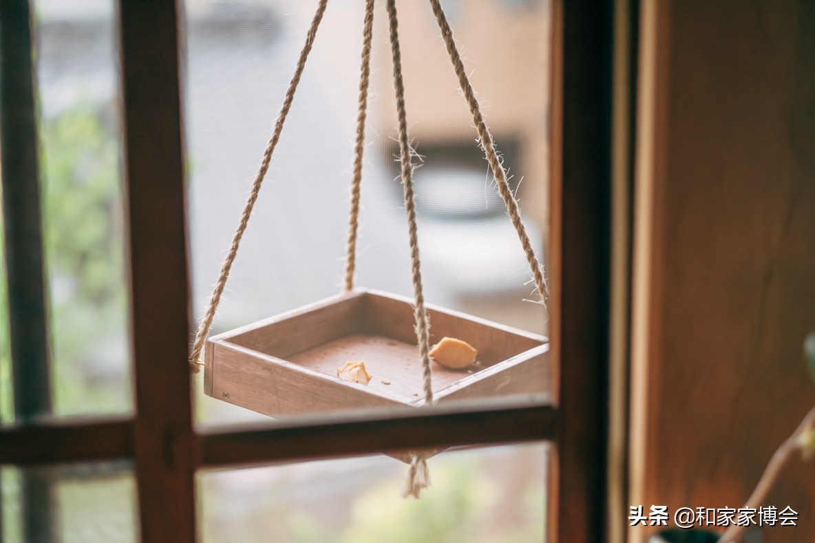 日式小公寓生活,适合高质量女生住的单身公寓