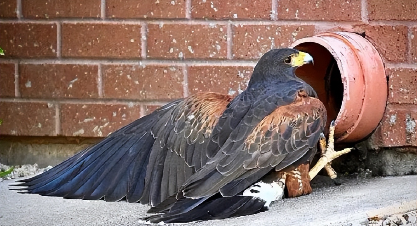 涓栫晫鍗佸ぇ瓒呮ā韬潗鍥剧墖鍥炬枃,涓栫晫鍗佸ぇ瓒呮ā鎯婅壋鍐欑湡