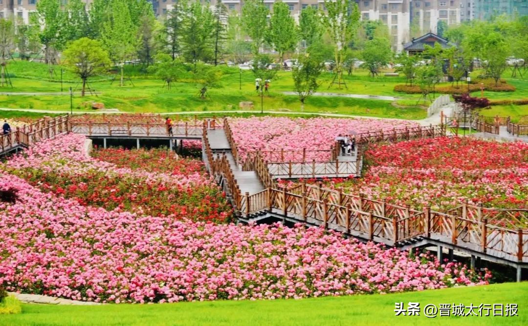 晋城这些地方藏着清凉一夏,晋城享清凉活力一夏