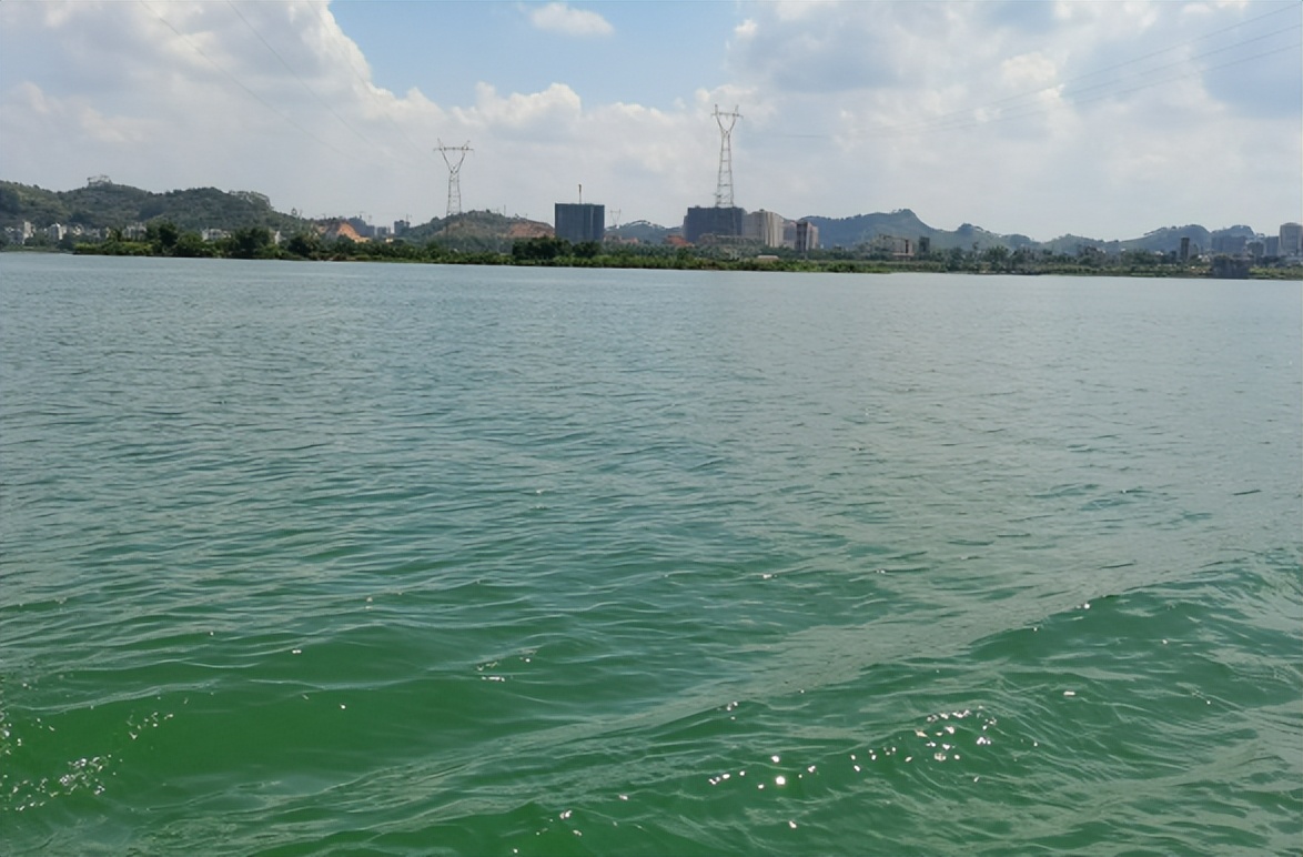 泡茶怎么泡是用开水还是用冷水,泡茶要泡多久才好喝