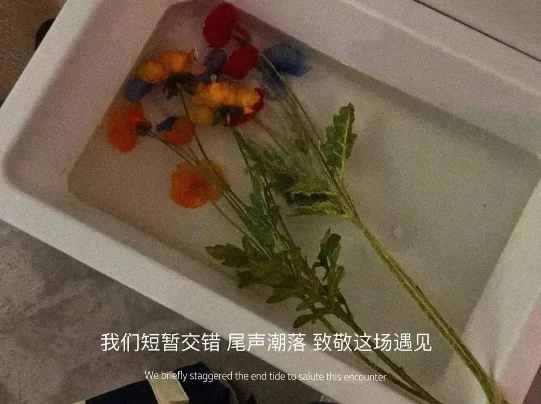 今日文案热门榜第一名,今日文案