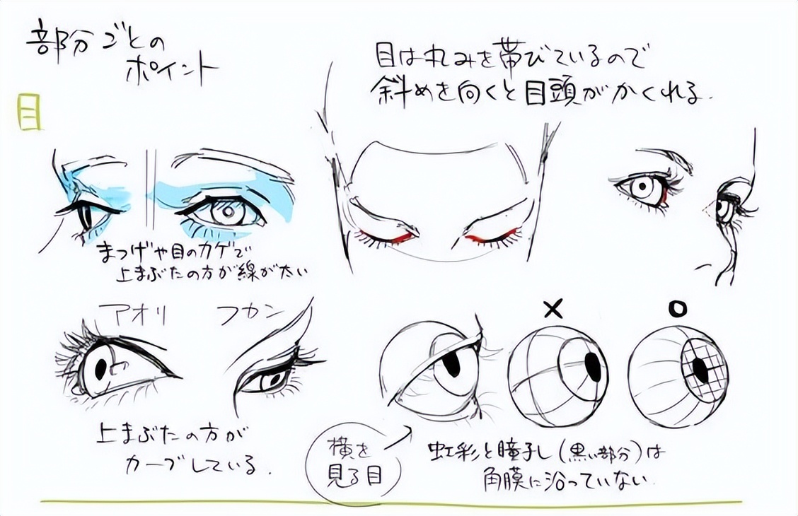 绘画素材|手绘眼睛各种练习素材参考​​​