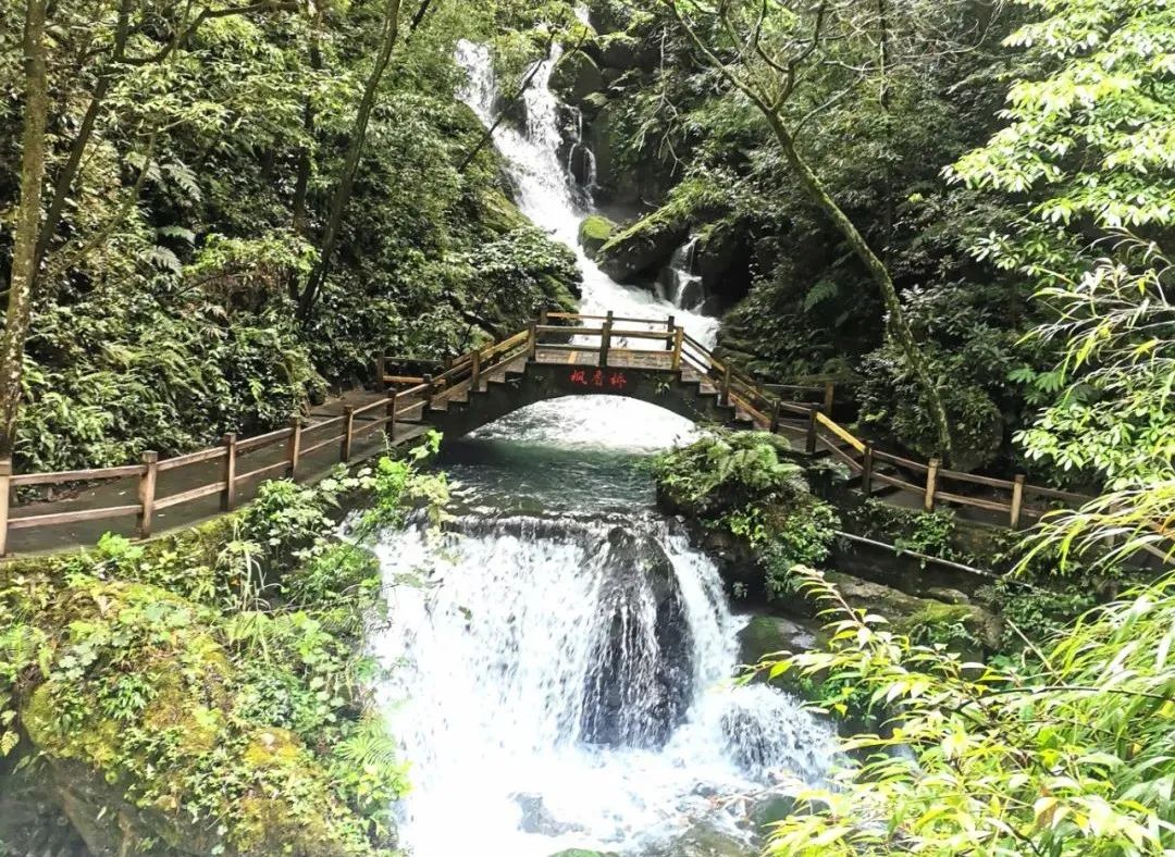 重庆万盛生态游攻略,重庆万盛旅游现状