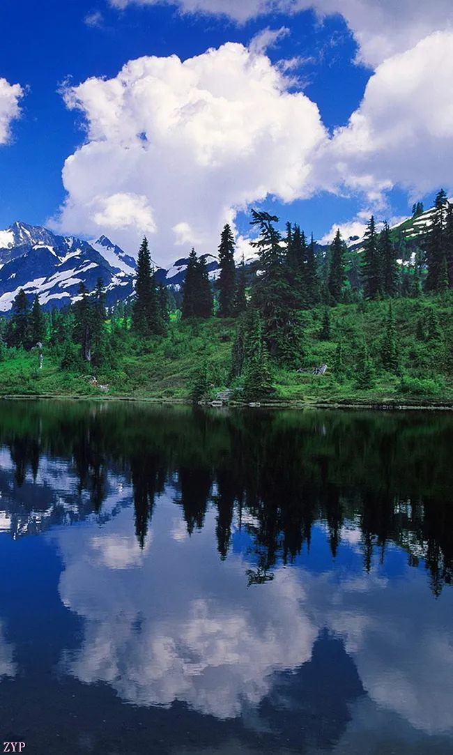 太美了100张人间美照,太美了最美中国红