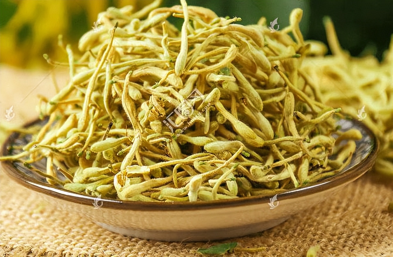 倪海厦讲经方治病毒性心肌炎,中医治疗病毒性心肌炎名医名方