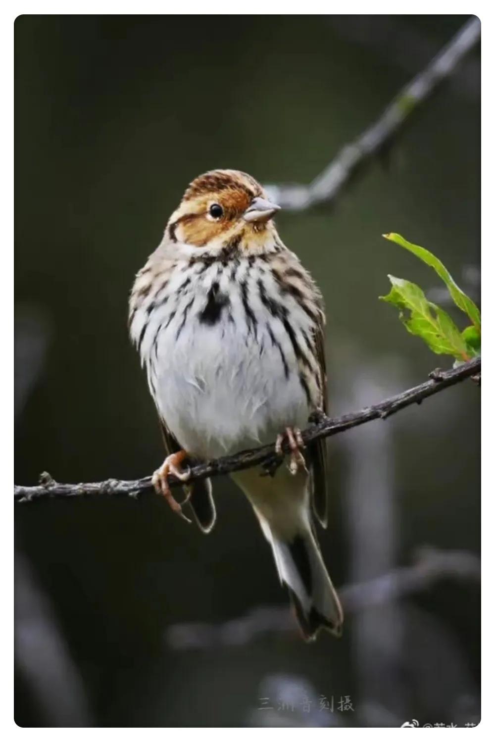 上海国际汽车城安亭,上海安亭国际汽车城