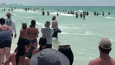 当你在海里游泳时看见鲸鱼,当你在大海里游泳时