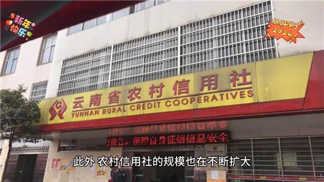 农村信用社和农业发展银行,农村信用社的发展