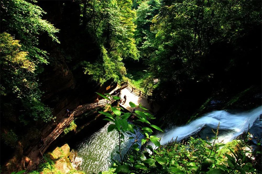 来雅安去哪玩最好玩,夏天去雅安旅游怎么样