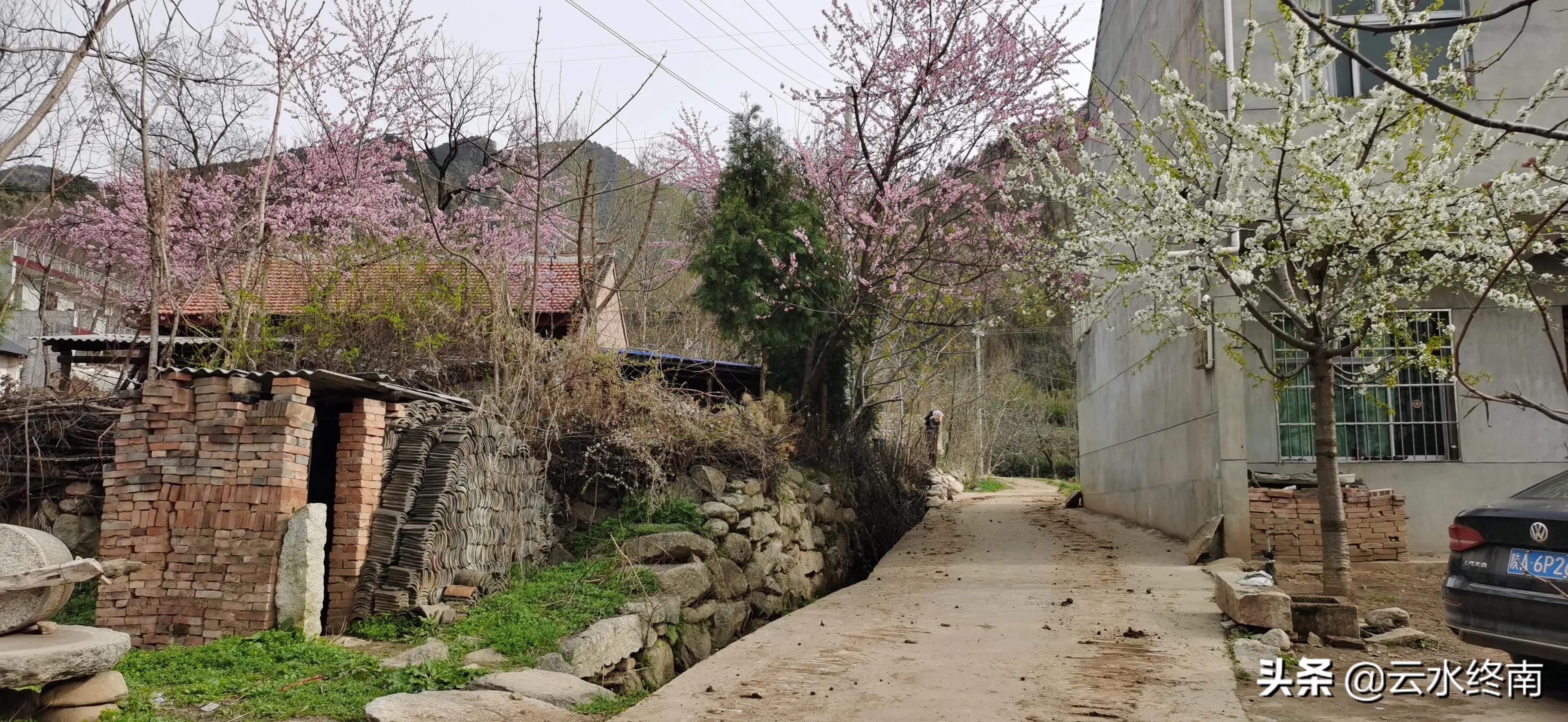 野逛桐花沟，我想欺骗一个老汉却被识破，不料却发现了一个峪口