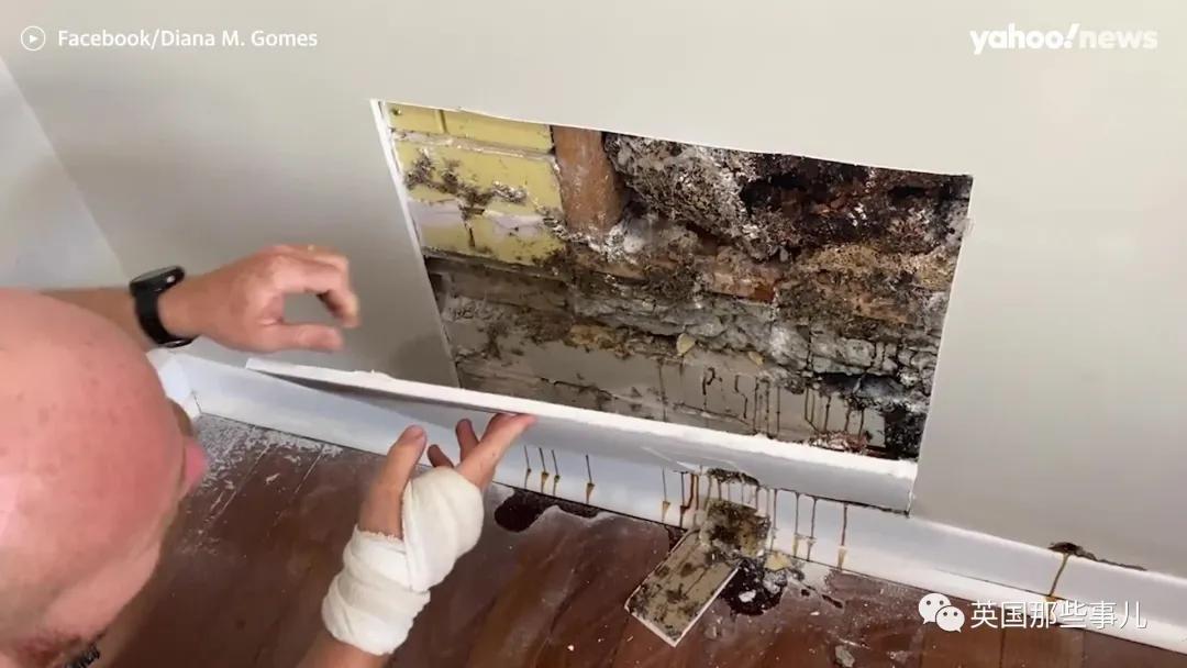 澳洲夫妇家墙壁突然莫名“渗血”!两人鼓起勇气拆开墙
