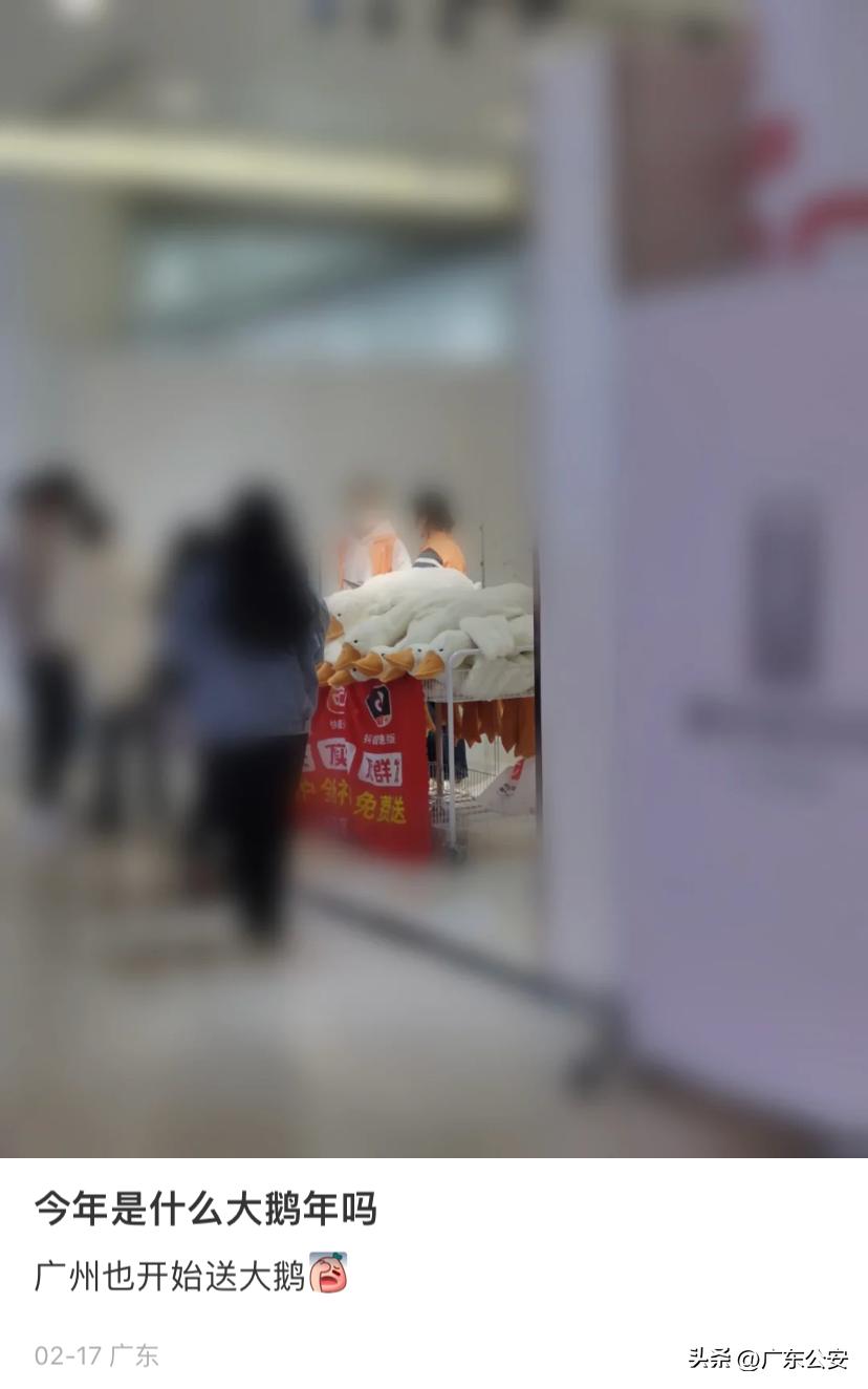 扫码免费领，谁能拒绝一只“大鹅”呢？