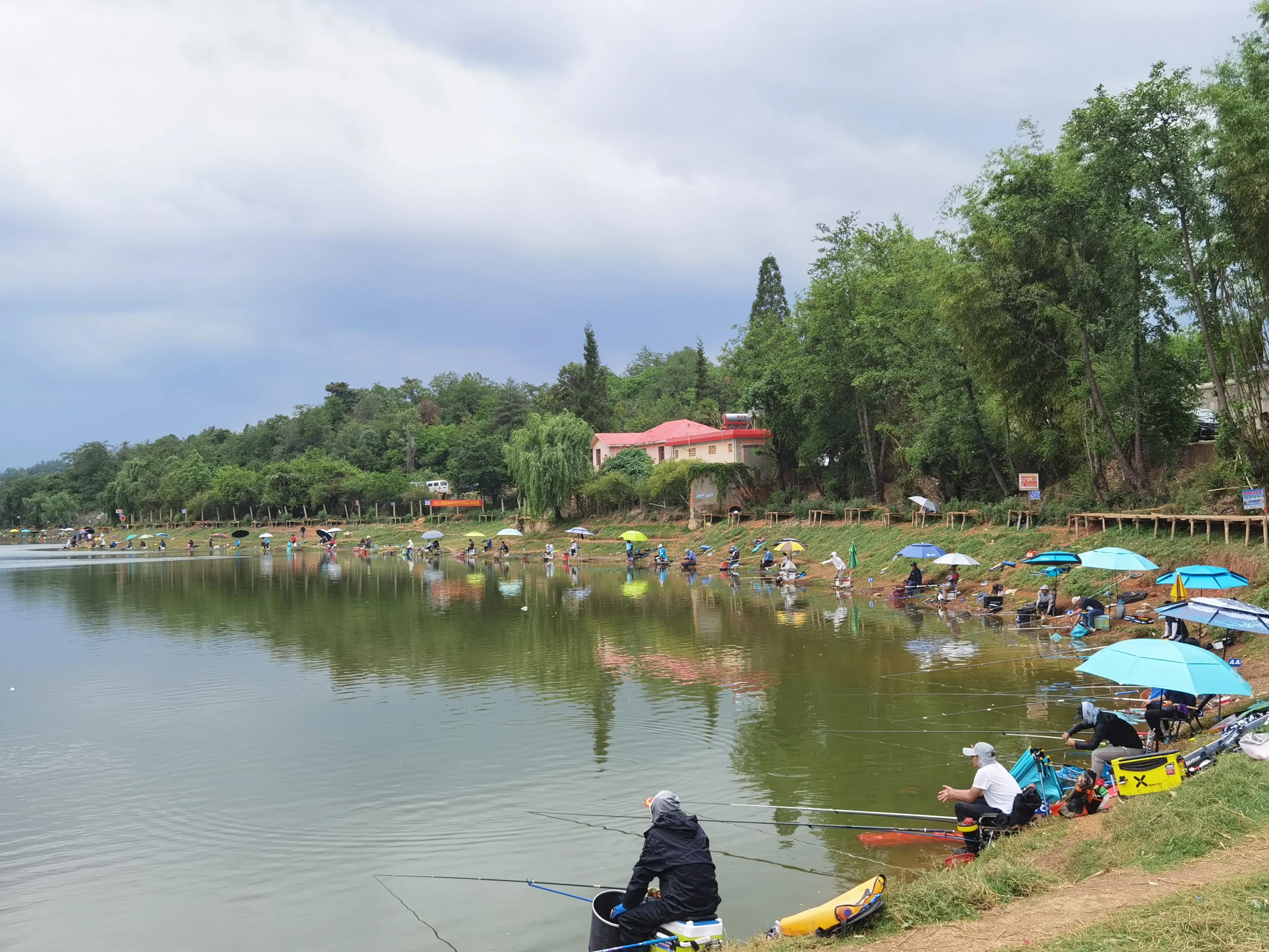 2018仙人湖库钓大赛,全国野钓大赛山塘