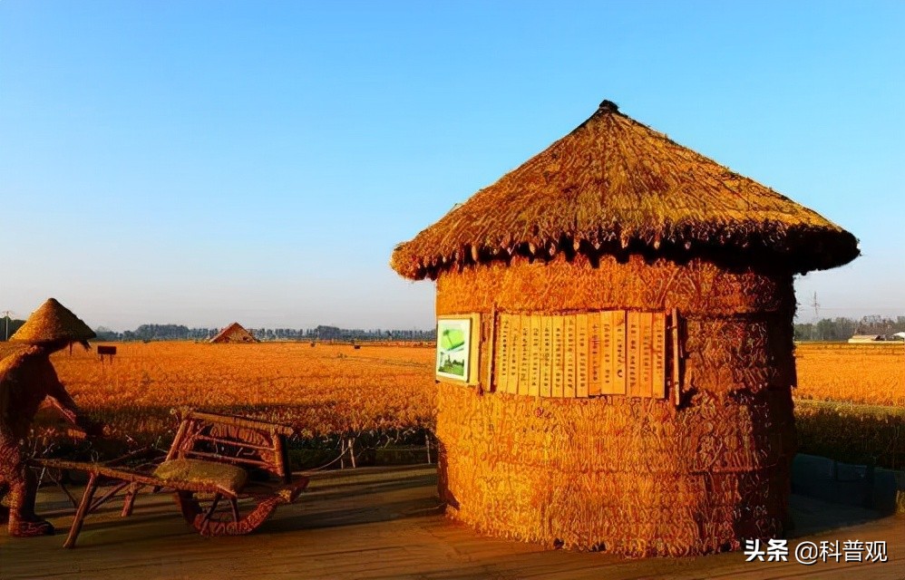 乌克兰和俄罗斯关系有多好,乌克兰俄罗斯现状和带来的影响