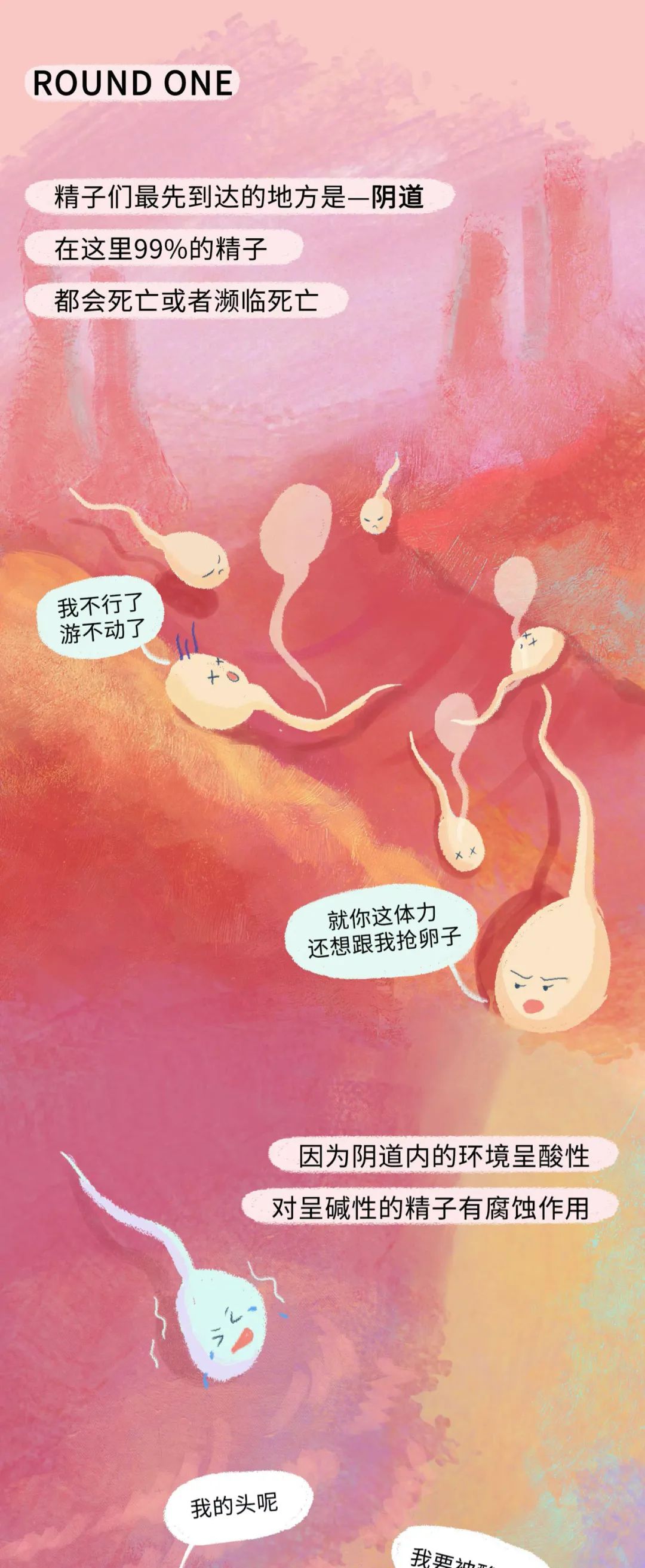 精子进入女生体内的全过程曝光！不要再傻傻不清楚