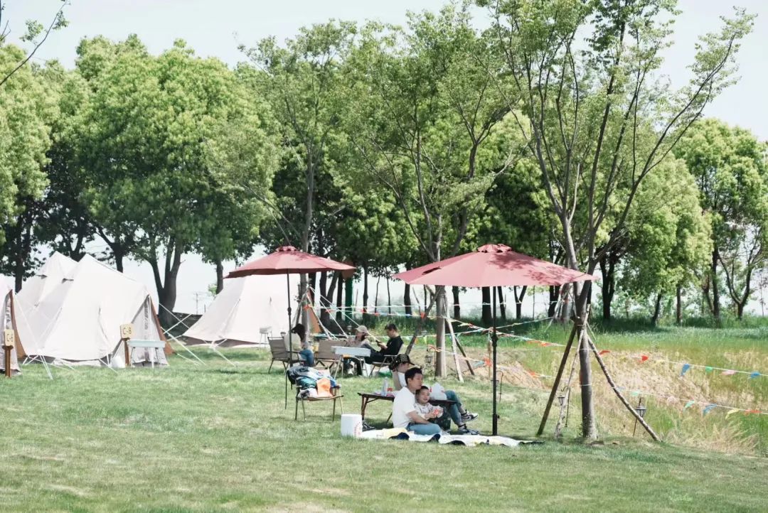 官方推介：夏日避暑纳凉寻香觅果之旅，就在百汇园黑莓产业园