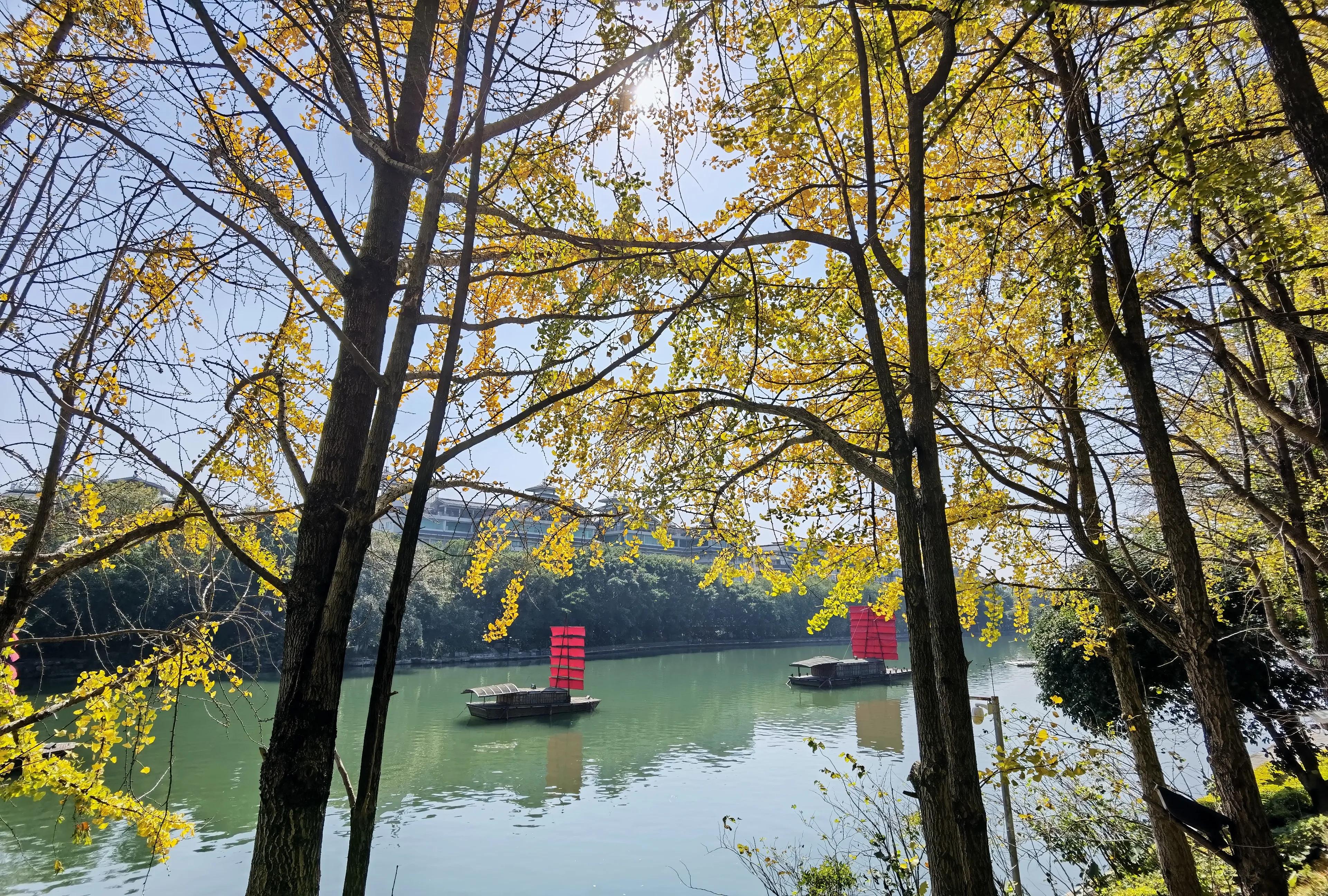 桂林的桂湖在哪里,桂林两江四湖之桂湖