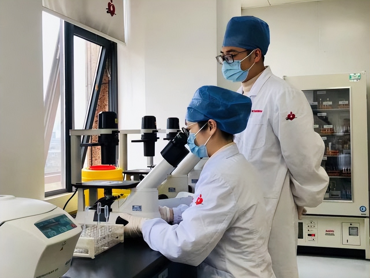 罕见血型p型,万分之一的罕见基因病