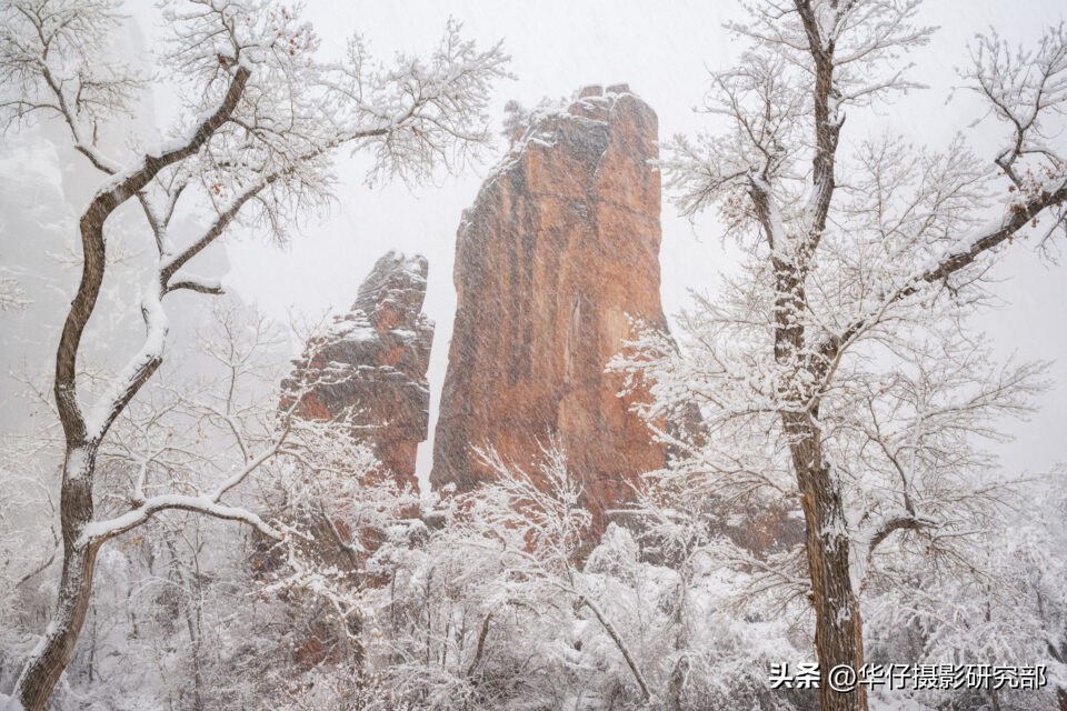 尼康z9详细视频评测,尼康z9全方位测评